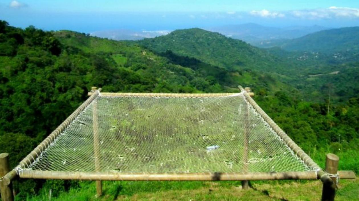 Uno de los atractivos del hostal Casa Elemento, en Minca.