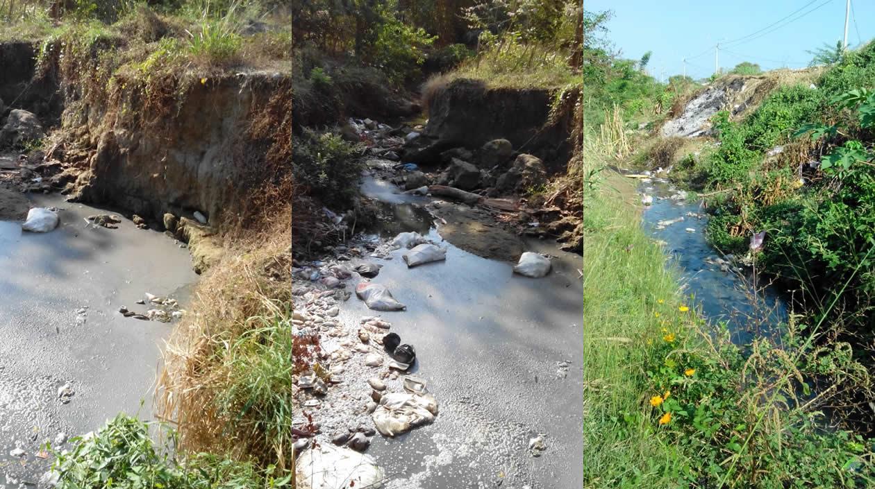 Aguas residuales y excrementos en el cauce del arroyo.