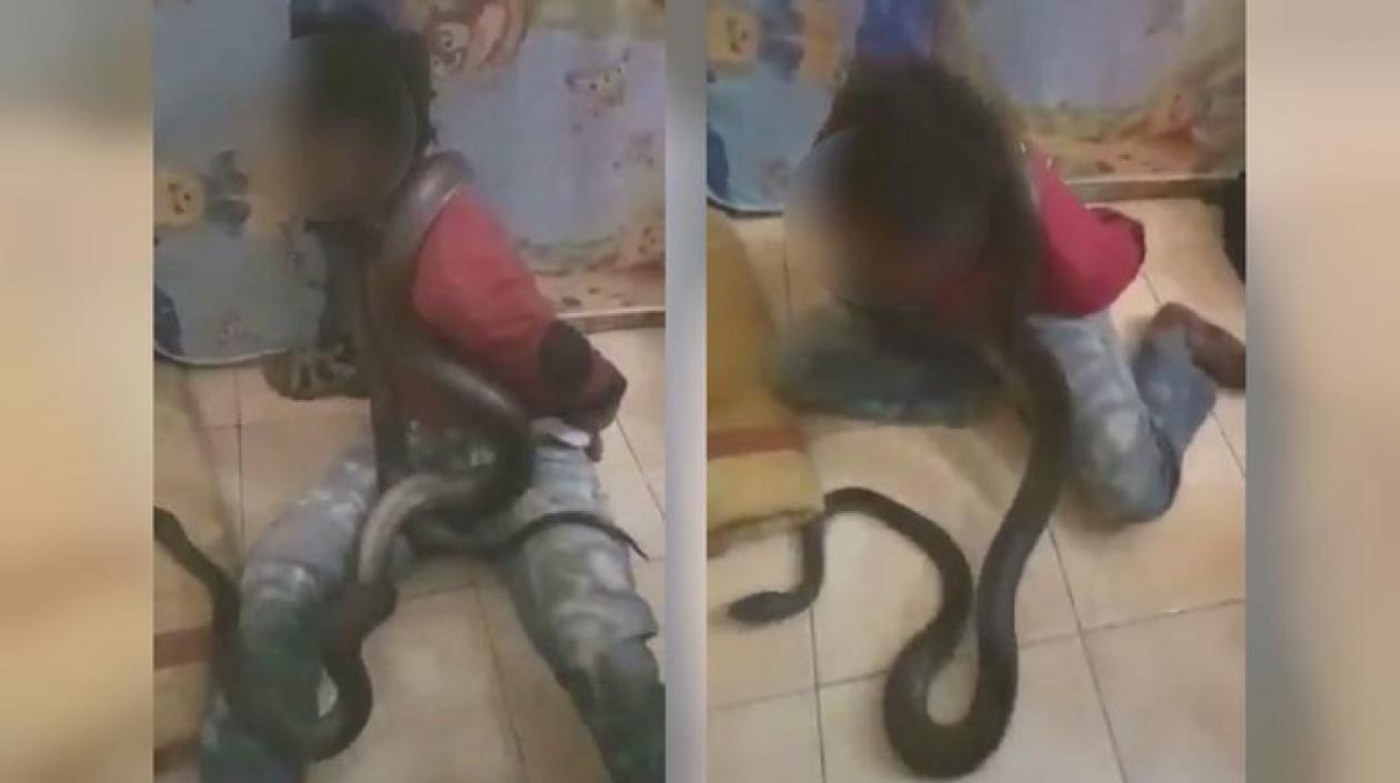 Joven interrogado con una serpiente.