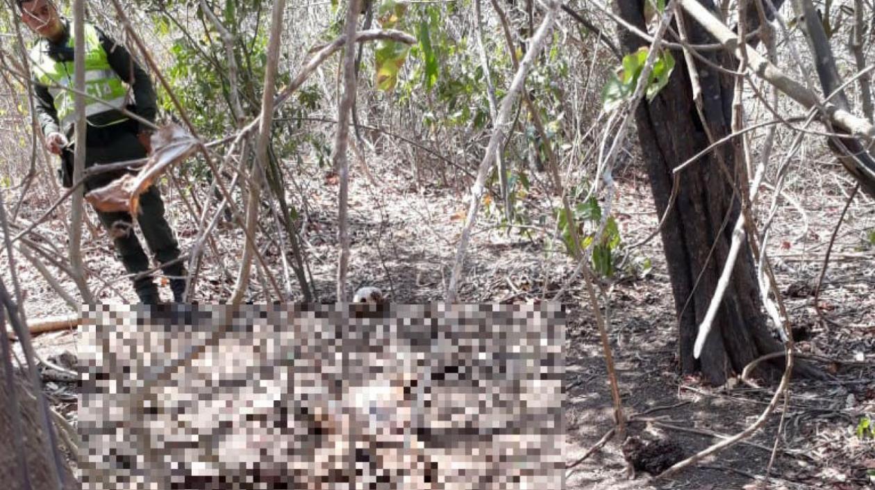 Cuerpo de hombre hallado en estado de descomposición.