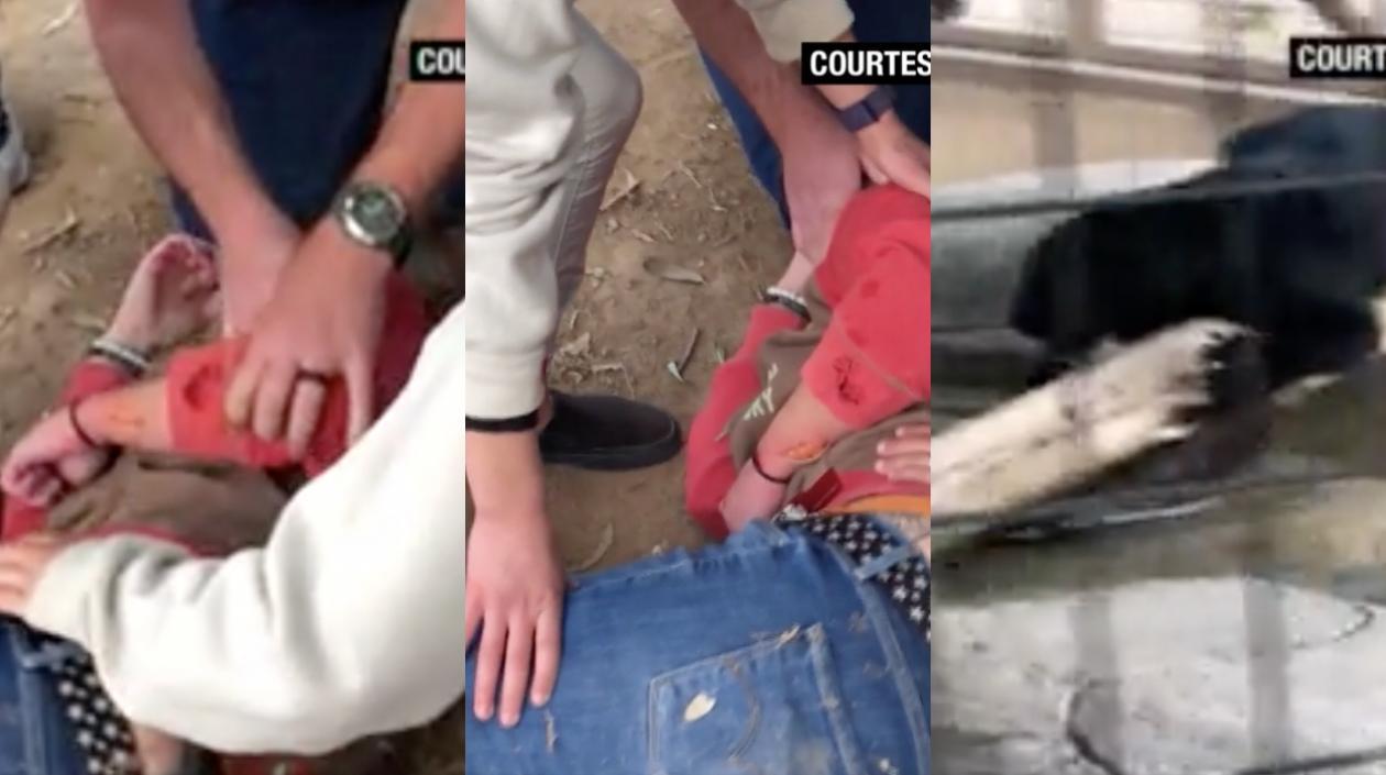 Imágenes de la mujer herida y del jaguar.