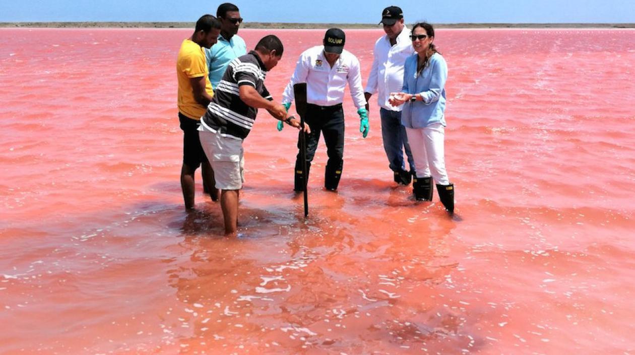 El Gobernador Dumek Turbay y la presidenta de la ANM Silvana Habib, en una de las piscinas.