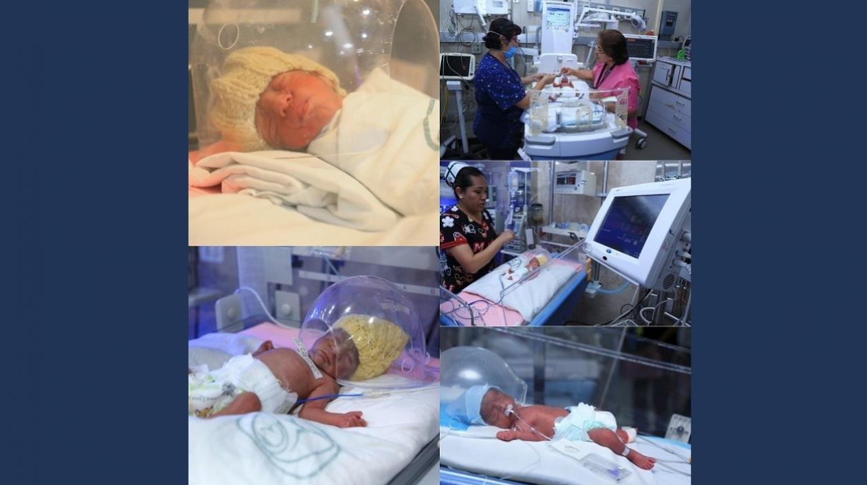 La mamá de los bebés había sido sometida a un tratamiento de inseminación artificial.