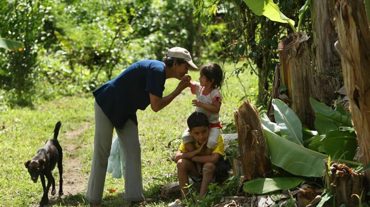 En el informe anual Tendencias Globales, de la Agencia de la ONU para los Refugiados (ACNUR), se manifestó que durante 2017 unas 91.431 personas fueron desplazadas en el país y en 2016 la cifra alcanzó los 124.295 desplazados.