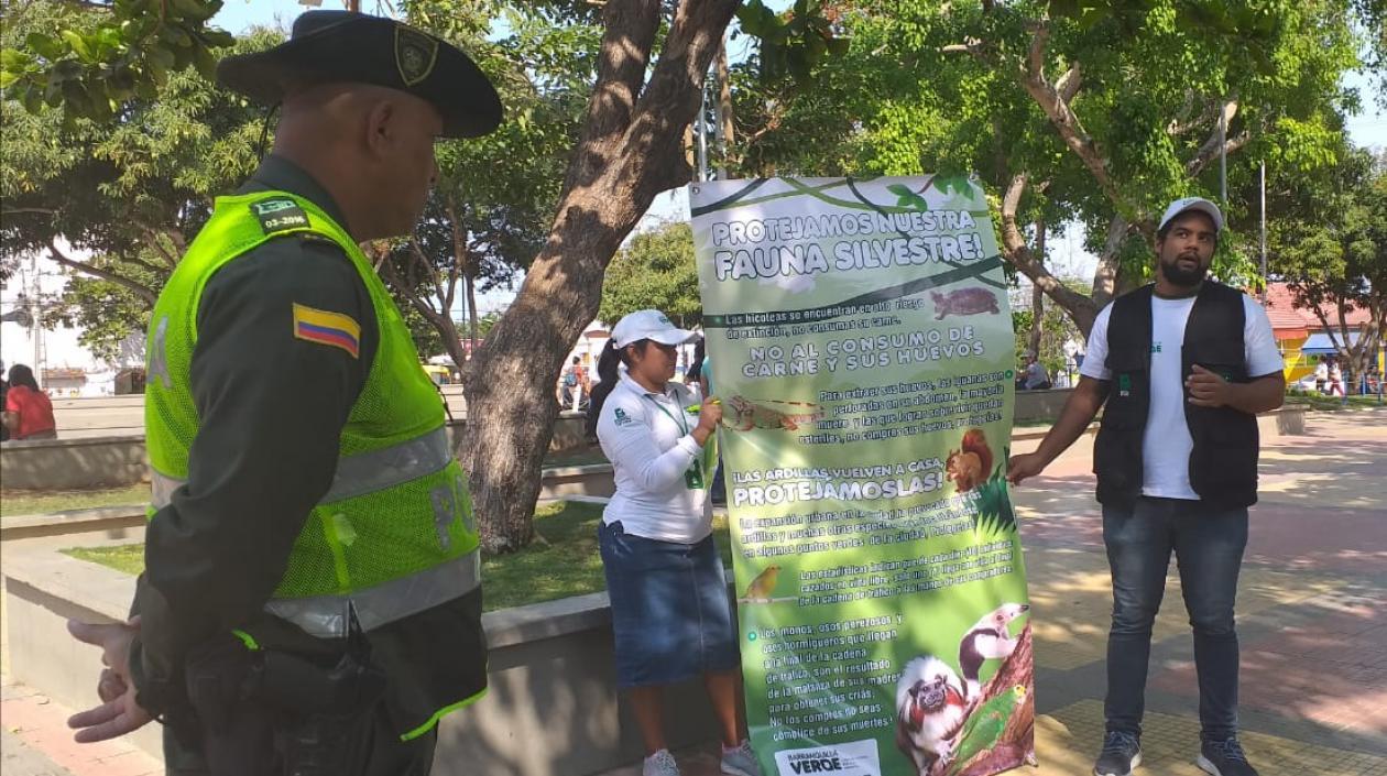 Funcionarios de Barranquilla verde estarán realizando operativos con el apoyo de la Policía Ambiental.