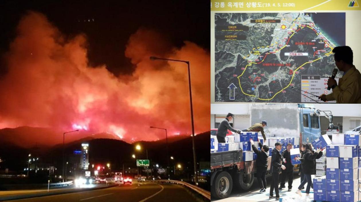La imagen muestra un incendio propagándose por una montaña en Goseong, en la provincia de Gangwon.