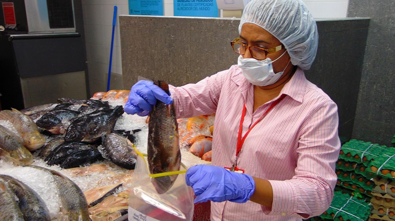 Funcionaria revisa el pescado en un establecimiento de venta de productos alimenticios.