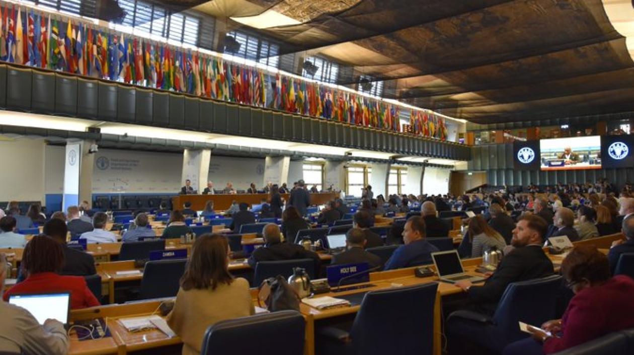  Reunión de la Convención Internacional de Protección Fitosanitaria (CIPF).