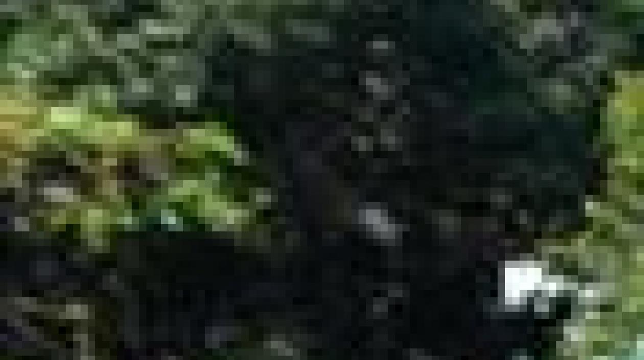 El Ejército hace presencia en las calles.