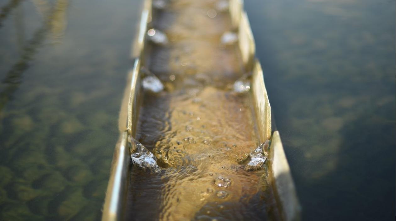 Imagen de la bocatoma.