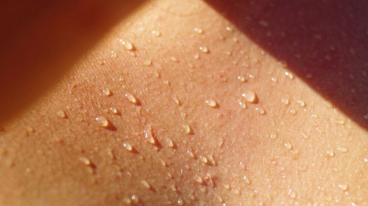 El problema, enfatizó el investigador, no es "que el sudor se pegue a las paredes".