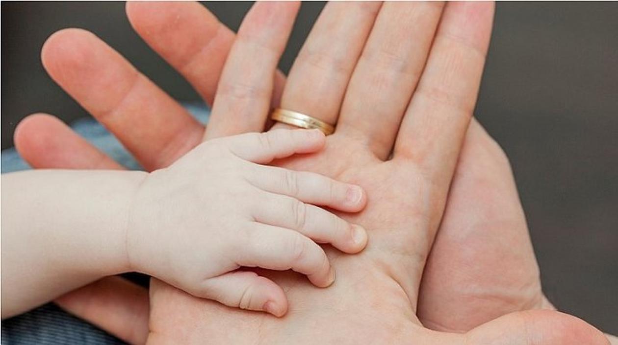 La actividad cerebral espontánea durante las etapas embrionarias impulsa el mapeo del tacto, de manera que este sentido surge en el cerebro antes del nacimiento. 