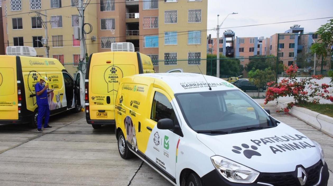 Esta es la patrulla animal.