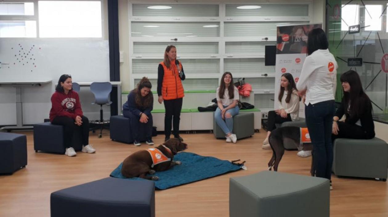 Así trabaja el proyecto con estudiantes universitarios.