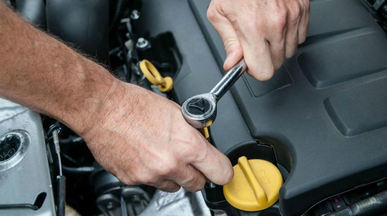 La reparación de vehículos, automotores y motocicletas fueron las actividades de mayor dinámica.