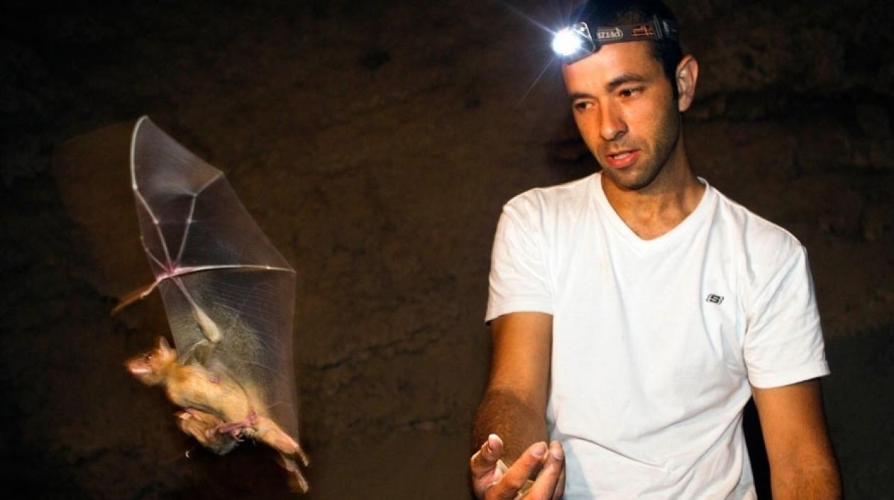  Yossi Yovel encabeza el equipo de investigadores de la Universidad de Tel Aviv.