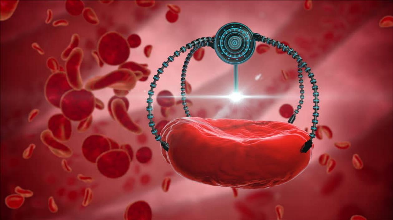 El equipo de investigadores ha desarrollado un anticuerpo específico contra dicha oncoproteína.
