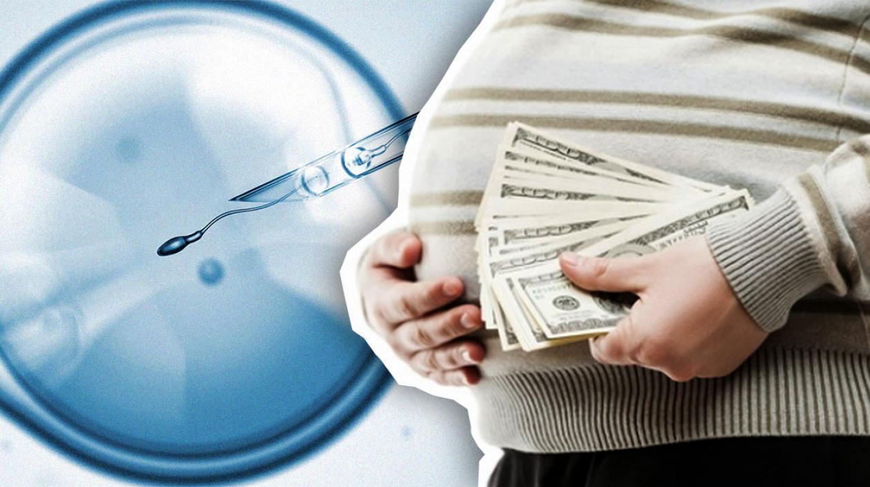 New York, Louisiana y Michigan son los únicos estados que prohíben la práctica del vientre de alquiler.