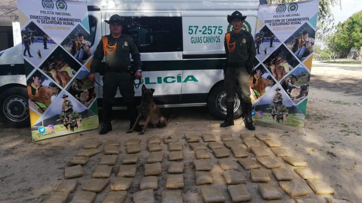 Esta es la droga decomisada.