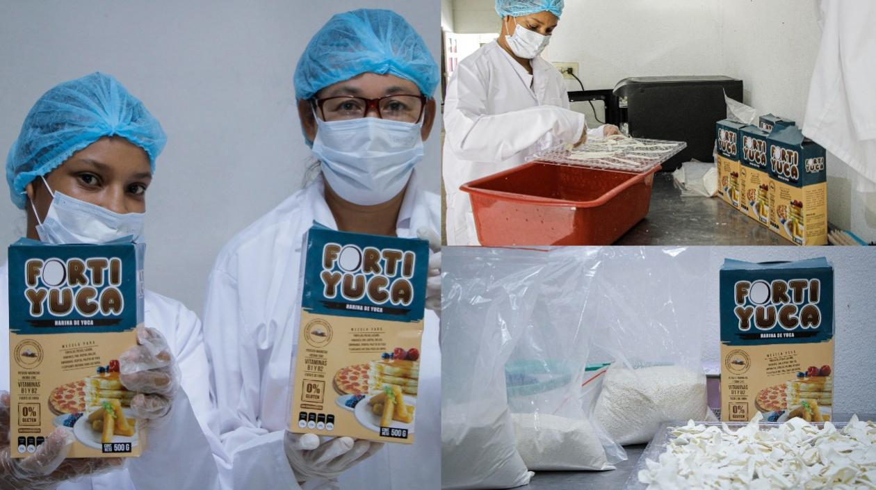 Fortiyuca, proyecto productivo de estudiantes de UniAtlántico.