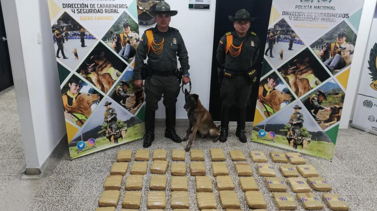 El perro 'Rambo', al lado de los carabineros, y la droga incautada. 