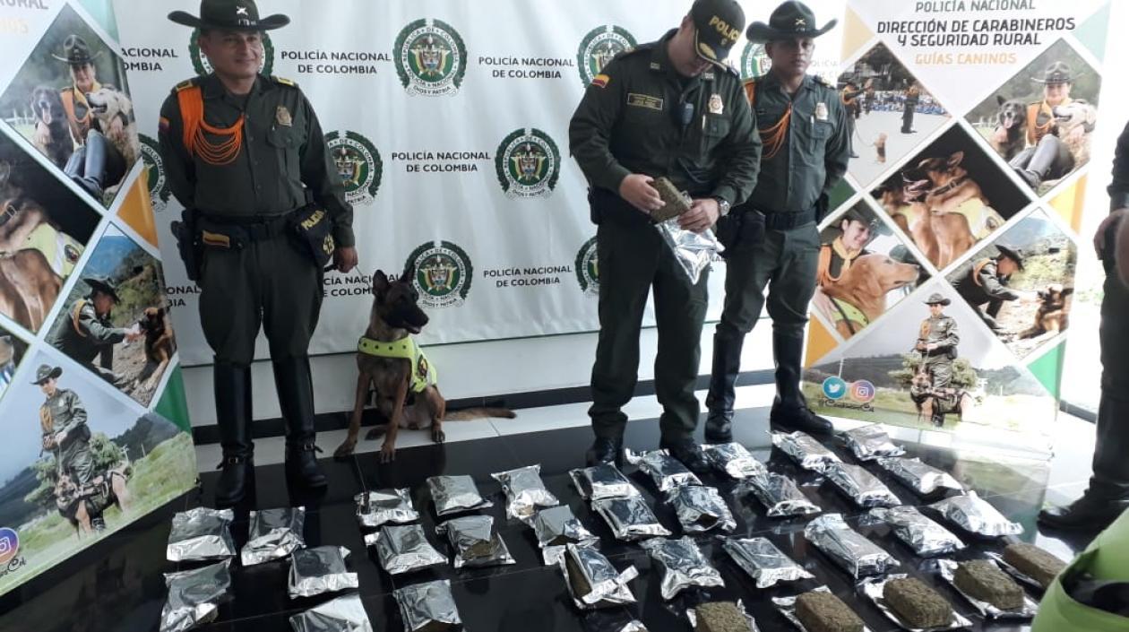 Este es el cargamento de 26 kilos de marihuana tipo crispy.