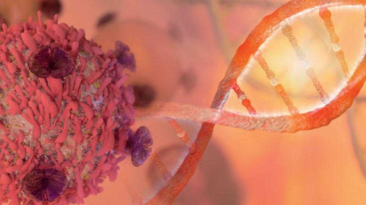 La mitad de las medicinas que el Comité ha acordado incorporar a la lista en los últimos diez años son para tratar distintos tipos de cáncer.