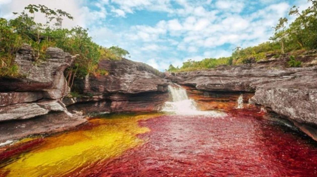 Caño cristales, en la sierra de la Macarena.