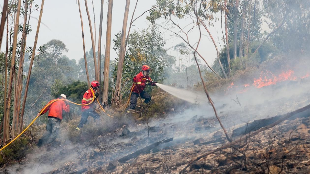 Bomberos tratan de controlar el fuego en Portugal.