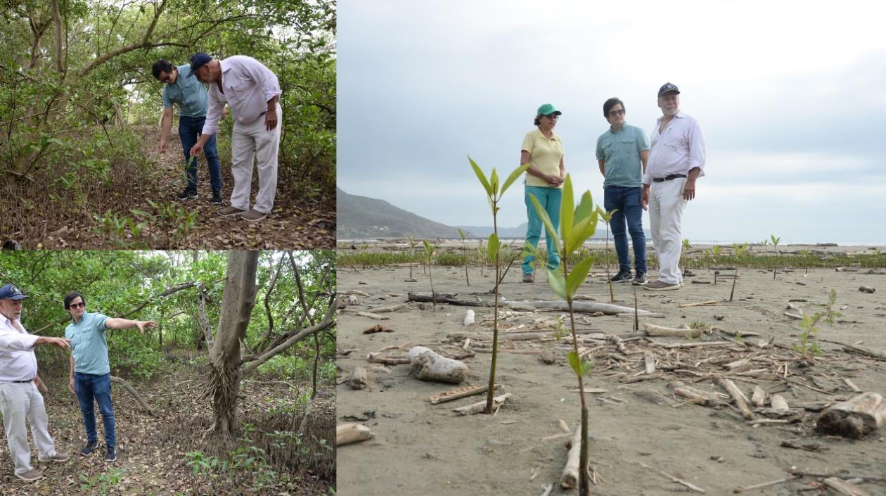Los investigadores de la Unisimón.