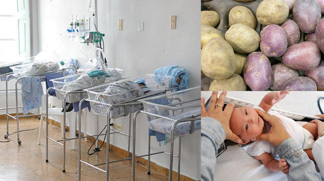 La baja ingesta de proteínas y zinc contribuye al retraso del crecimiento.