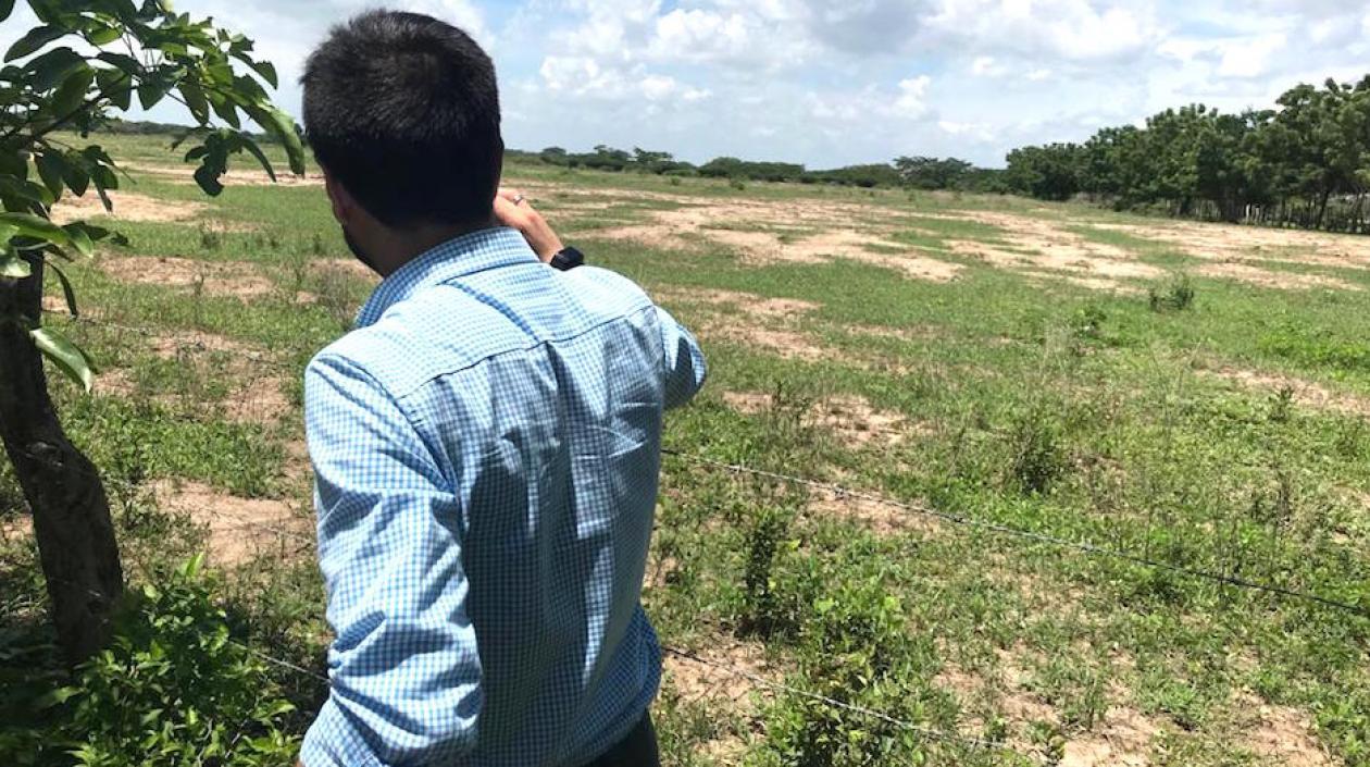 El predio seleccionado para la megacárcel.