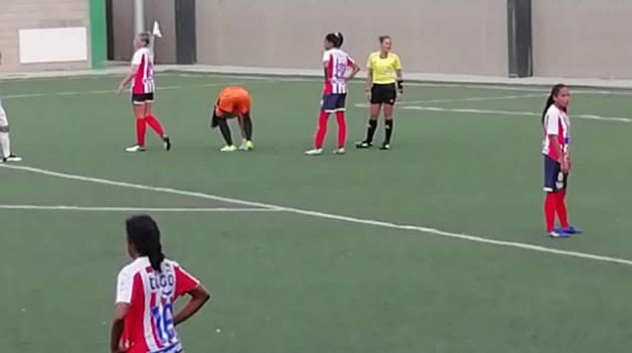 Las Tiburonas de Junior.