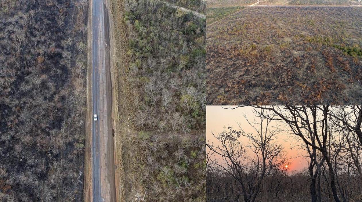  El Ministerio del Medio Ambiente ha atribuido esa situación a una vasta sequía en las regiones norte y centro oeste del país.