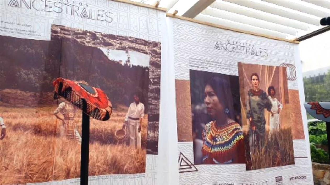 El dinero recaudado será entregado a la comunidad indígena Embera Chamí 