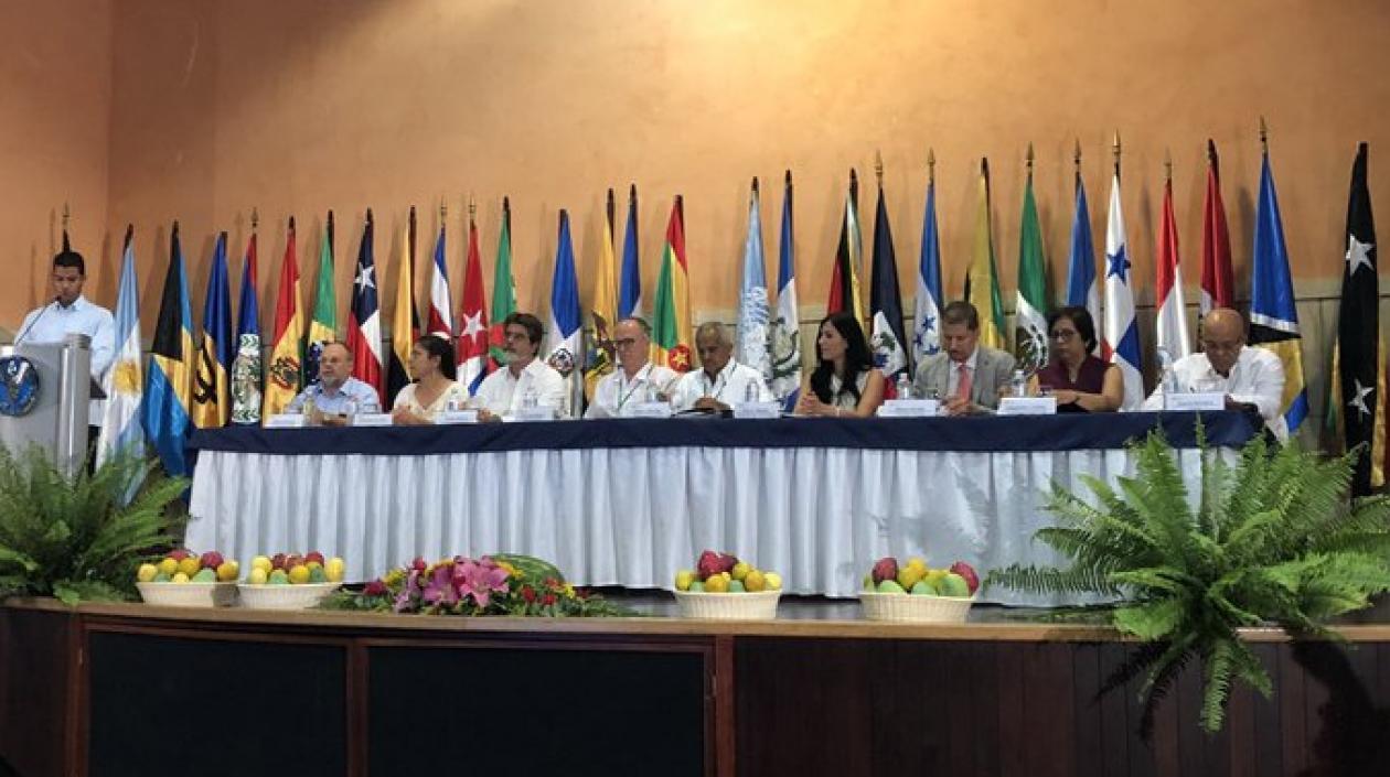 Lanzamiento Regional Del Decenio de la agricultura familiar.