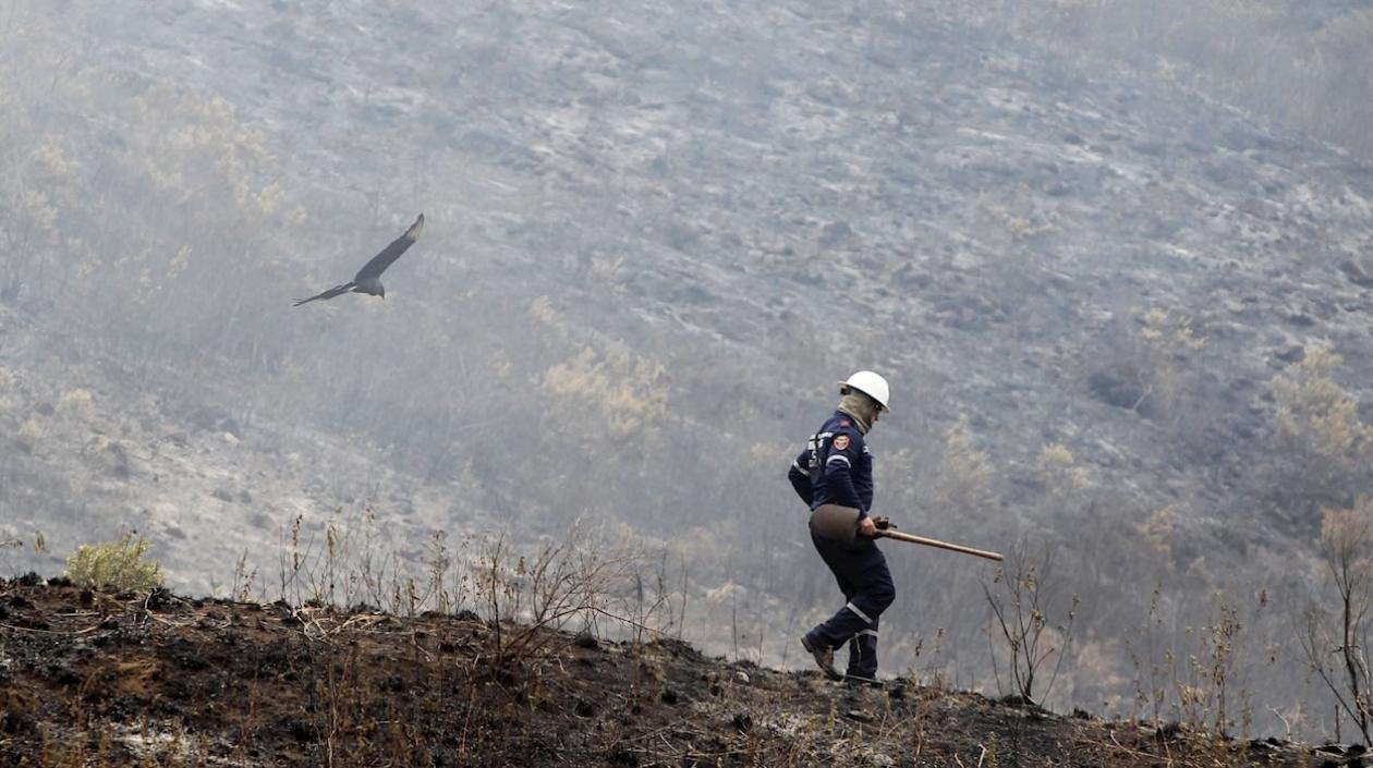 Funcionario de la Oficina de Gestión del Riesgo inspeccionando zona del incendio.