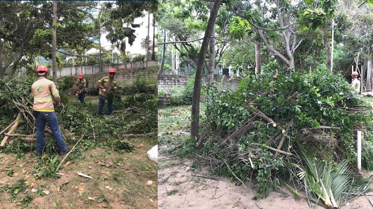Operarios contratados en plena labor de destrucción.