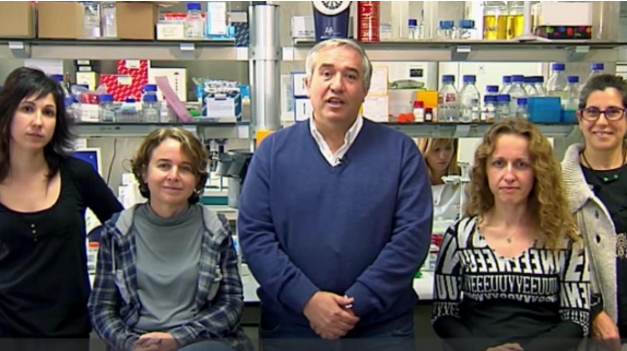 Grupo de la Unidad de inmunopatología del sida del Instituto de Salud Carlos III.