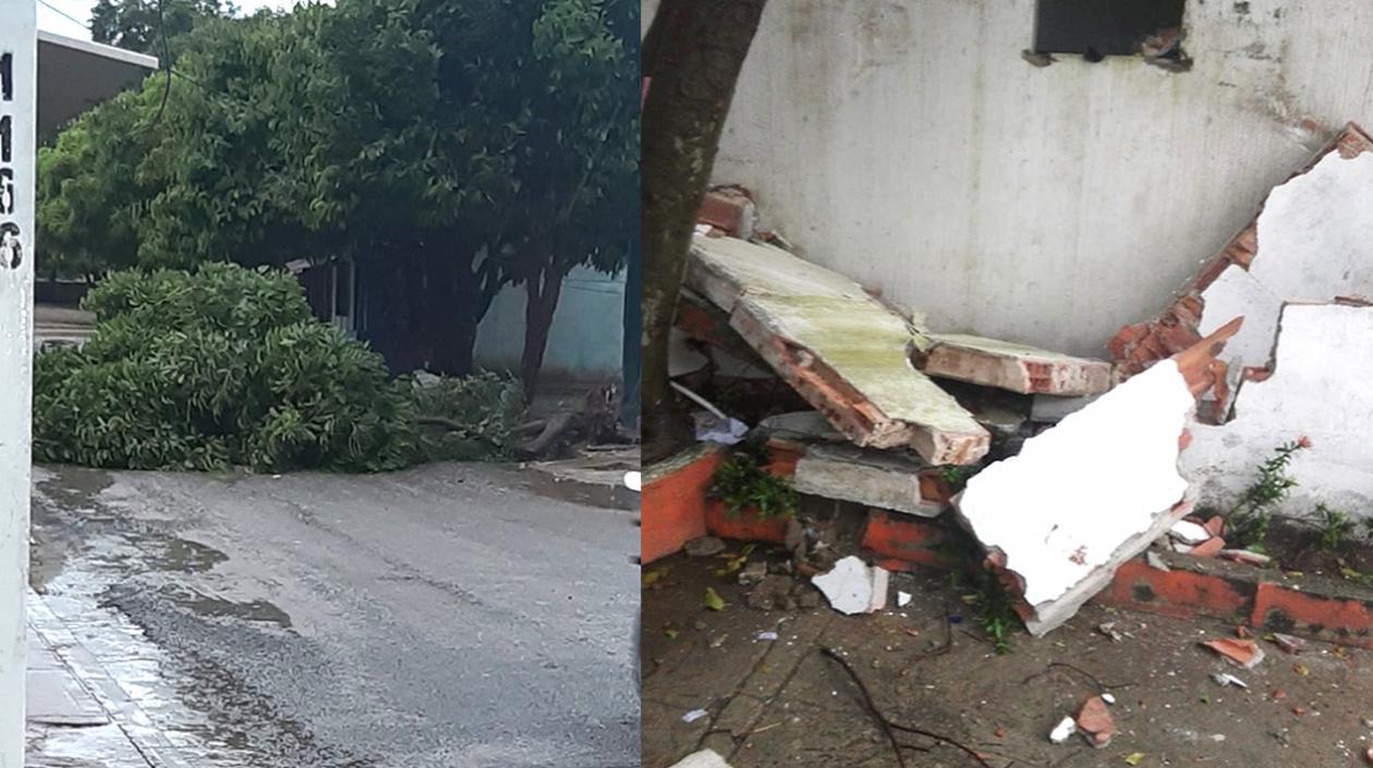 Árboles caídos y daños en la Casa de Cultura.