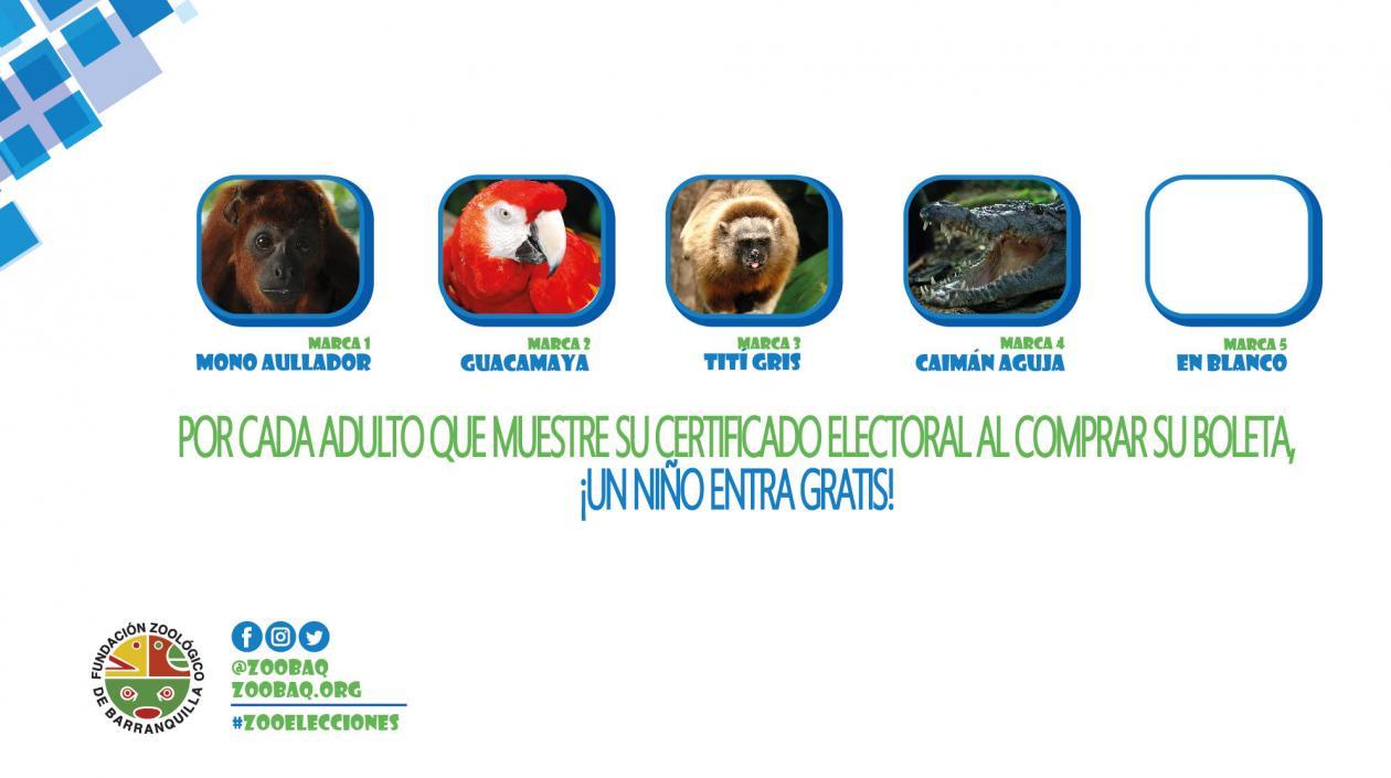 Candidatos a la Alcaldía del Zoológico.