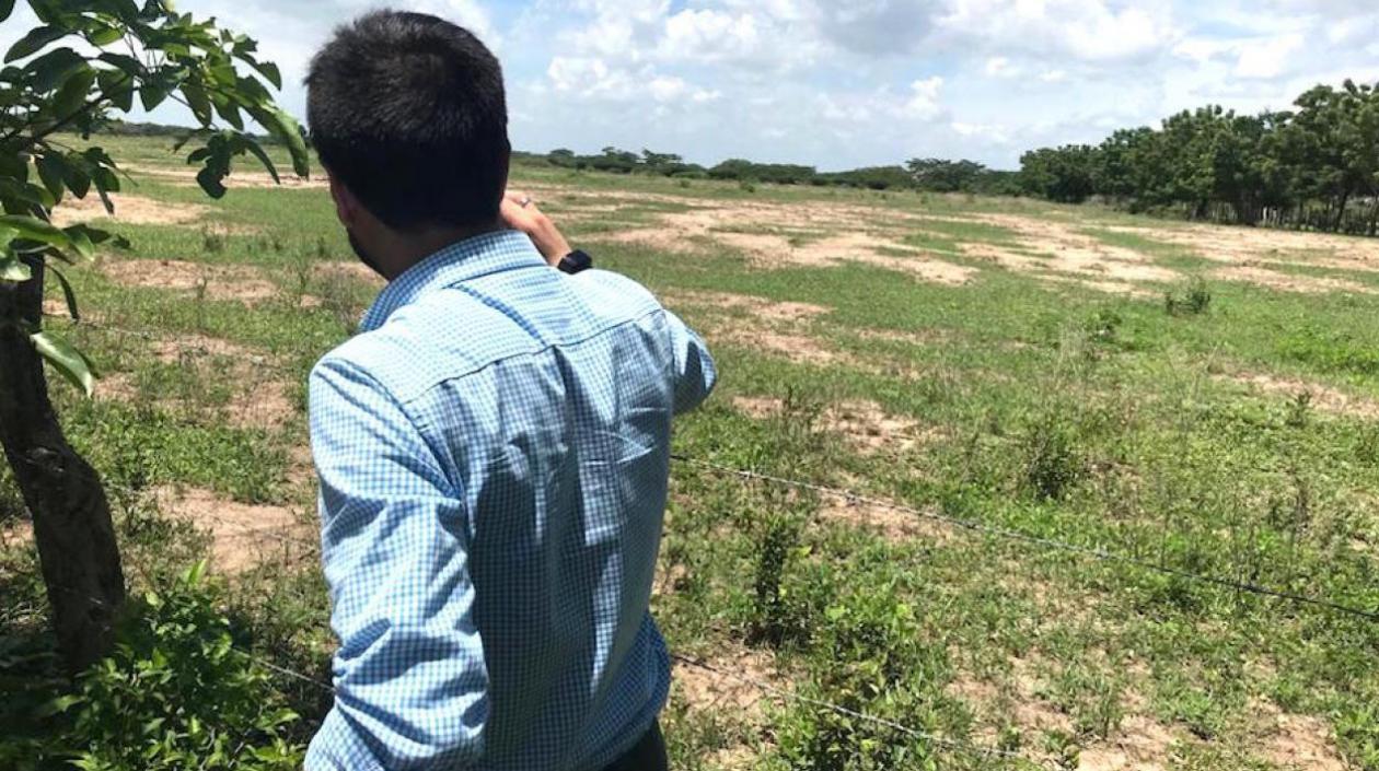 El lote escogido para la construcción de la megacárcel.