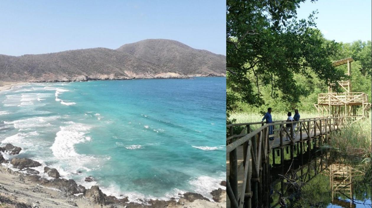 Parques Tayrona y Salamanca.