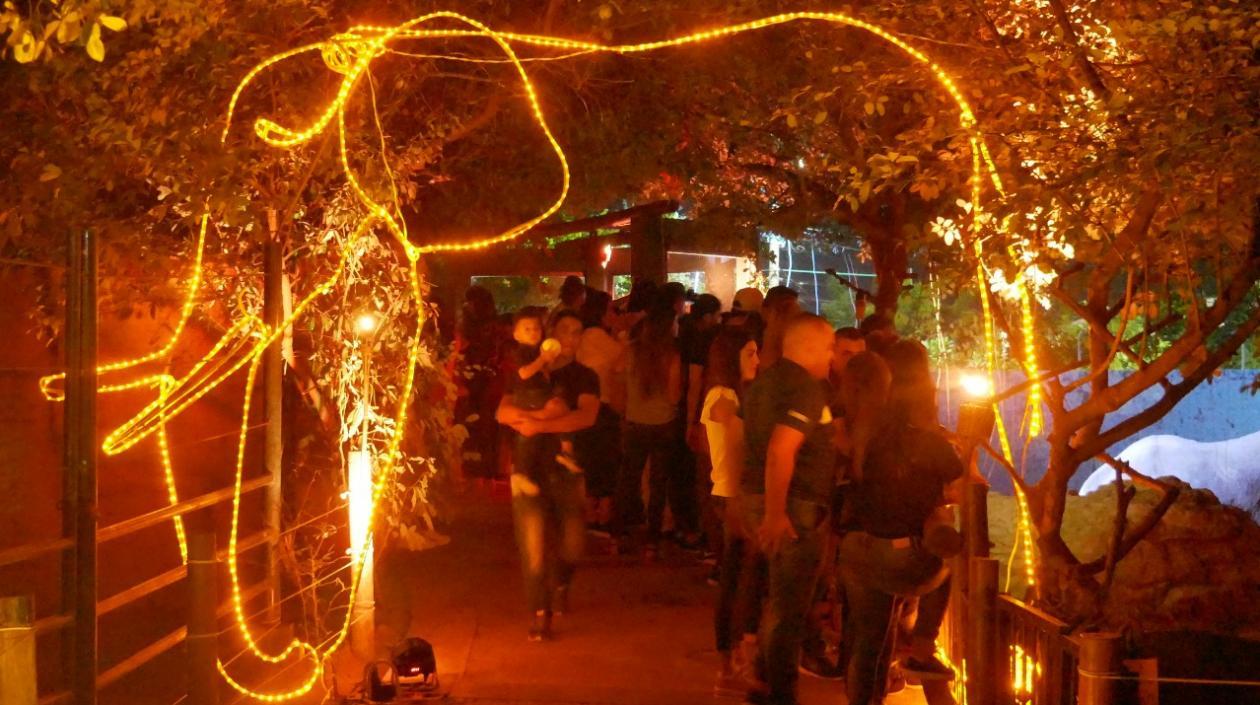 El safari nocturno se realizará el próximo 5 de octubre.