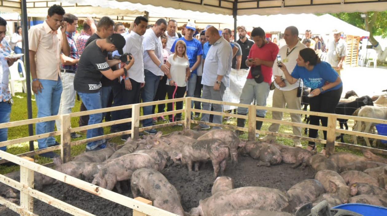 Elsa Noguera y Roberto Celedón sellan  compromiso para desarrollo de Baranoa