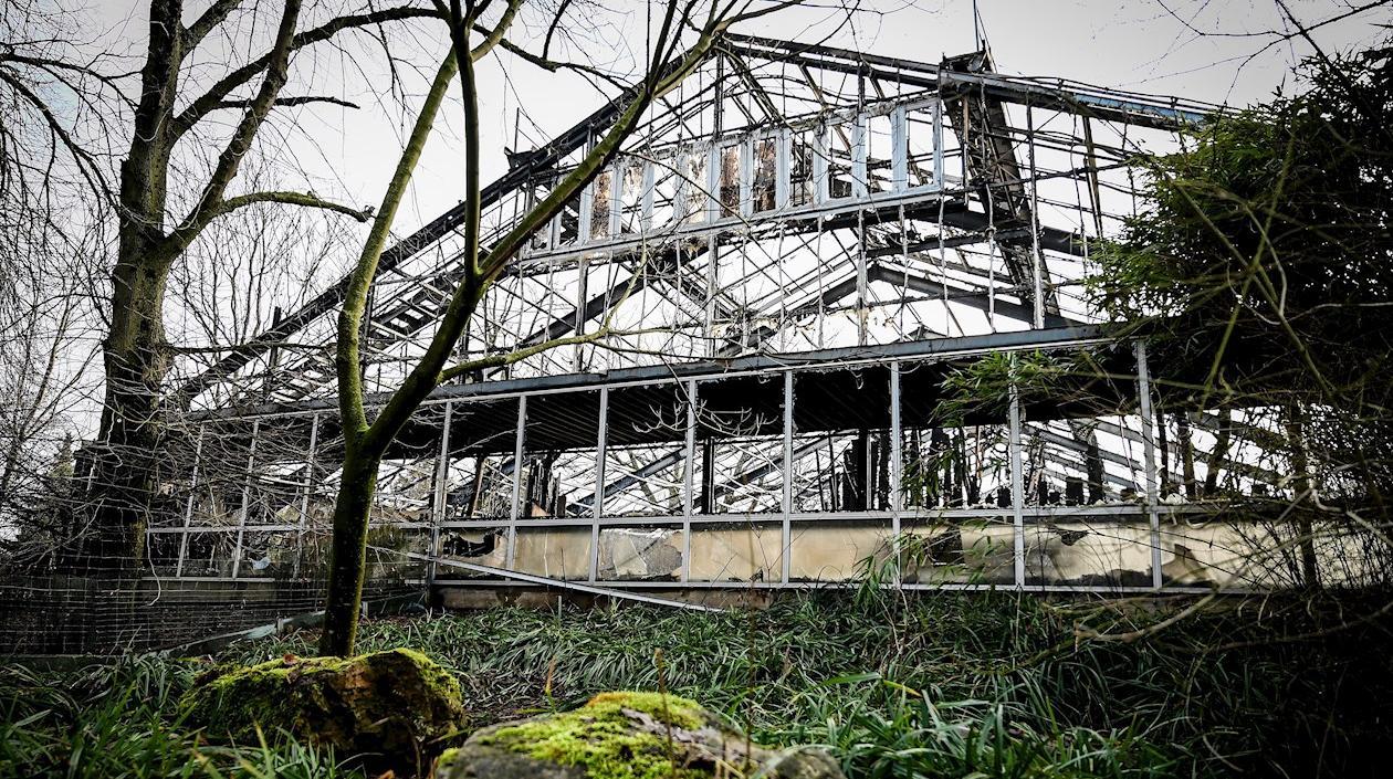 Recinto de los monos después del incendio.