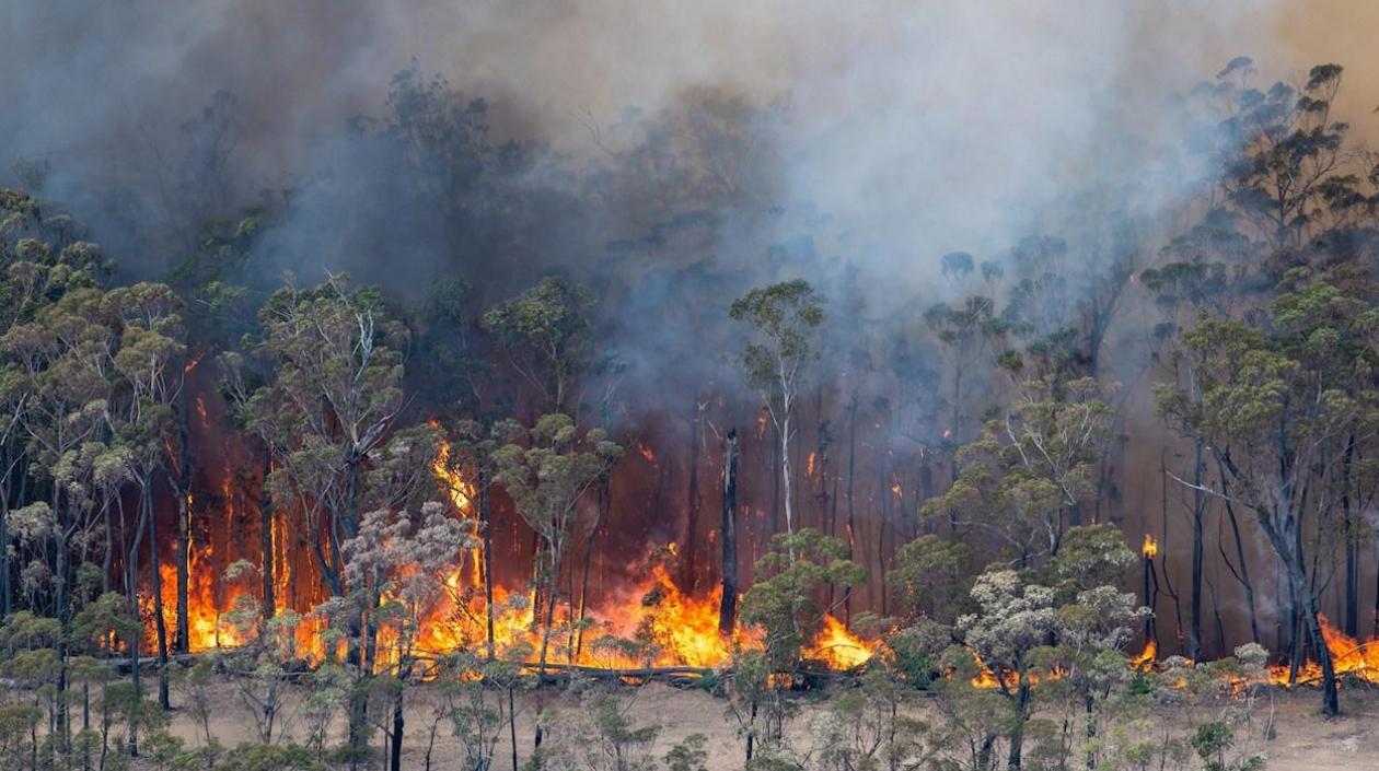 Incendios en Australia.