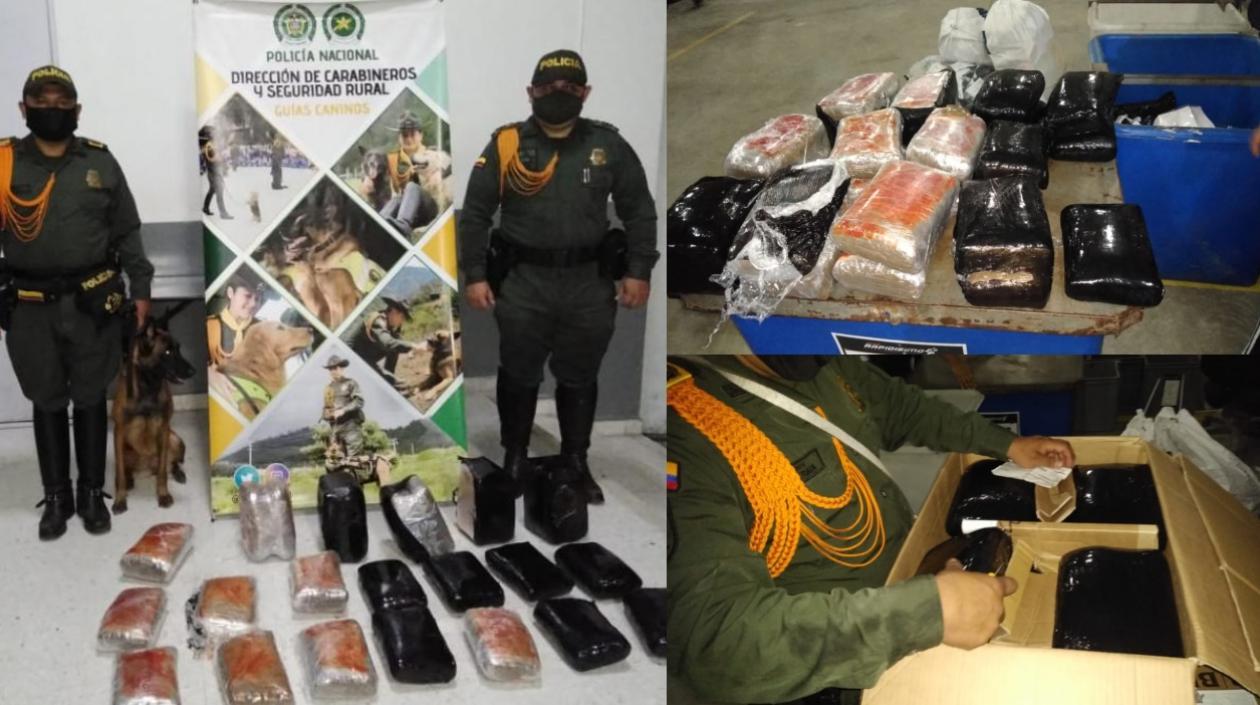 Marihuana decomisada en empresa de encomiendas. 