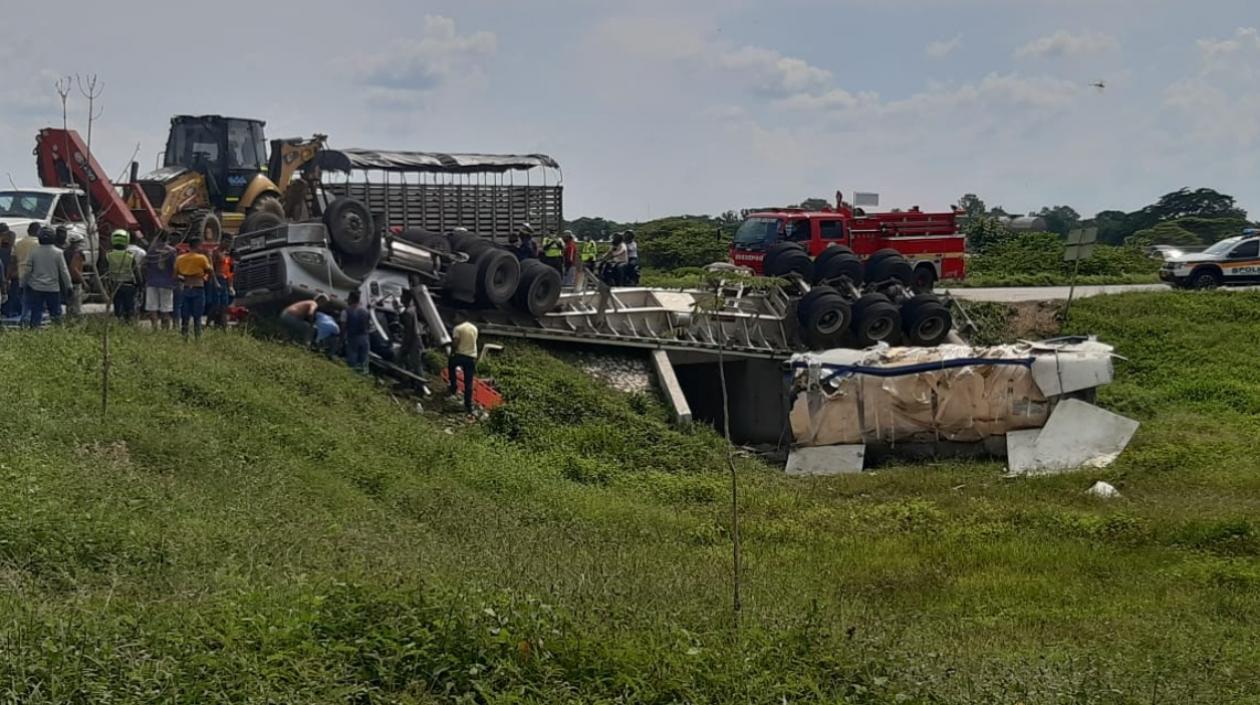 Tractomula accidentada. 