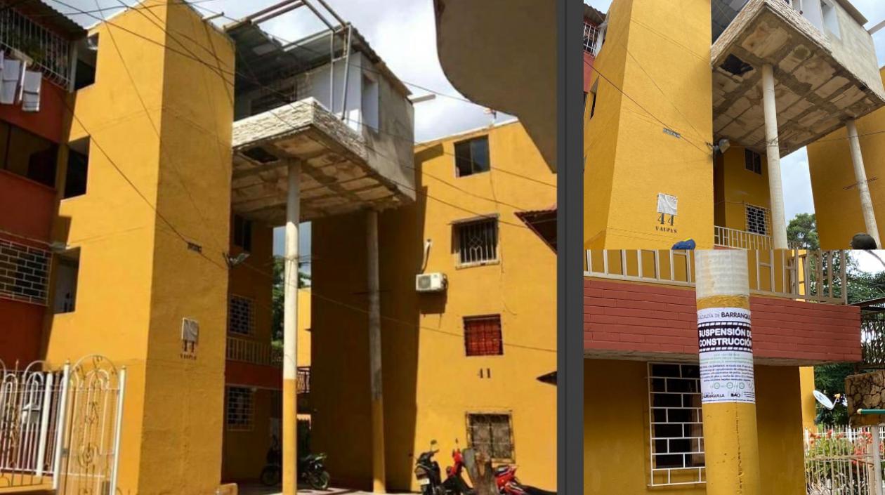 Las imágenes de la insólita obra.